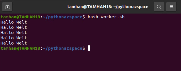 Die Python-Schleife bezieht ihre Parameter aus dem Bash-Skript.