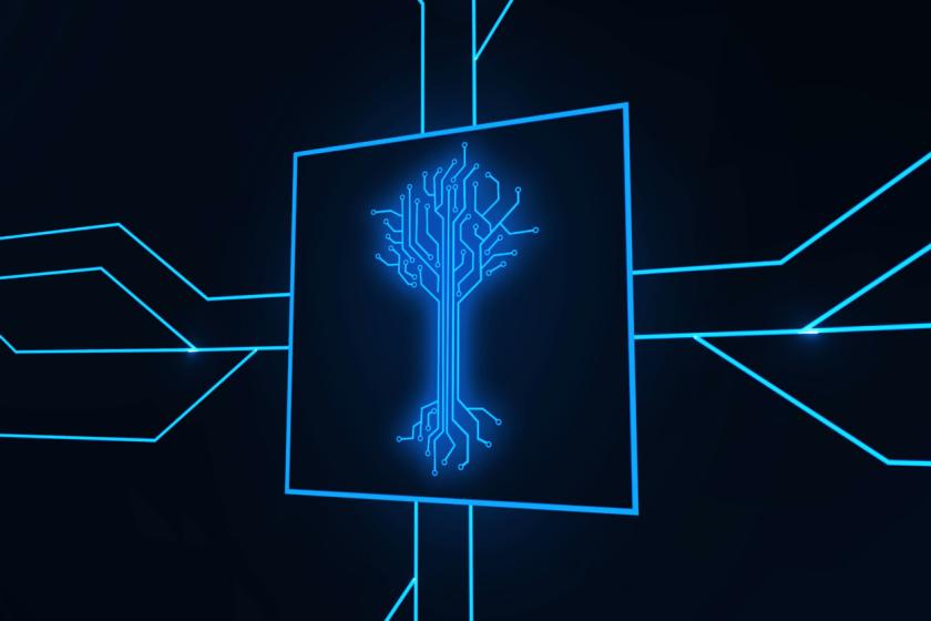 Wie organisiert Spanning Tree ein Ethernet-Netzwerk? - Der Baum im Netzwerk