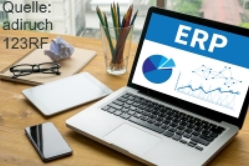 Durch ERP-Systeme lassen sich im Unternehmen zahlreiche Geschäftsfelder abdecken.